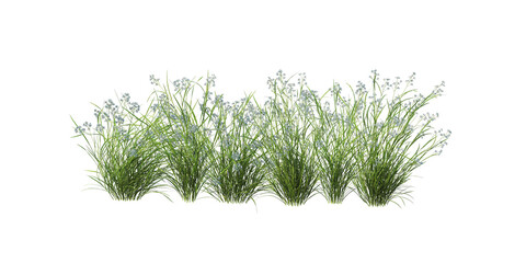 Plants and flowers with white background