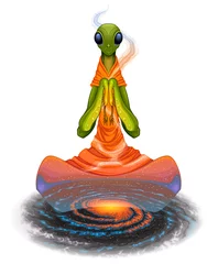 Tuinposter Praying mantis on a galaxy. Vector illustration  © ddraw