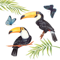 Watercolor illustration. Tropical set with a toucan bird, palm leaves, butterflies on a white background. Isolated elements for design. © ZubiZub