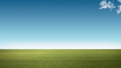 Lush grass field and blue sky background