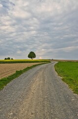 Vertical shot of a countryside road under a cloudy sky © Borni/Wirestock Creators