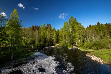 Fototapeta na wymiar Yanisjoki River in Karelia on a sunny day. Nature of Karelia.