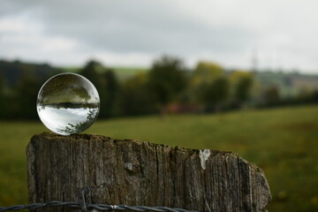 Wiese spiegelt sich in Glaskugel