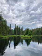 Fototapeta na wymiar Beautiful forest lake. Panoramic view of beautiful lake landscape