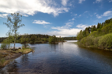 Fototapeta na wymiar Nature of Valaam Island. Karelian landscapes.