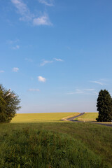 Naklejka premium Volcanic Eifel, Manderscheid Country Road - Rural Landscape
