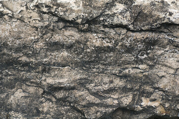 Obraz premium texture of a stone