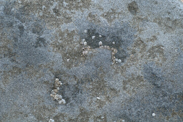 Very beautiful stone texture. Photo closeup top view. 

