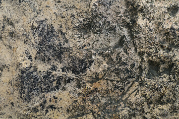 texture background