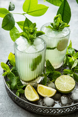 Fresh  citrus  drink  or cocktail  with   mint green leaves