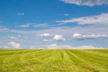 green field and blue sky