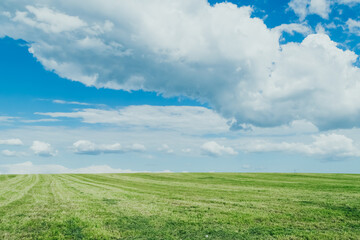 green field and blue sky