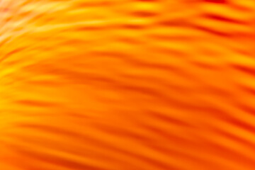 Yellow orange waves with gradient. Abstraction