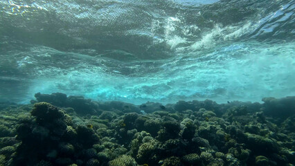 Storm waves above coral reef. Underwater shot. Red sea, Efypt