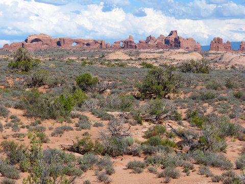 Utah - diverse landscape near Arches National Park. Rock formations