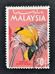 Cancelled postage stamp printed by Malaysia, that shows  The black-naped oriole (Oriolus chinensis), circa 1965.