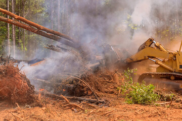 There is an ecological disaster in the forest with a tractor that is filled sand to fire in forest fires © ungvar