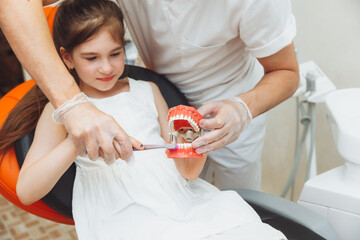 a male dentist in a medical uniform shows a little girl how to properly brush her teeth on a jaw...