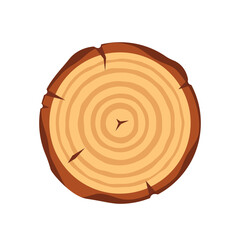 Wooden Tree Round Slice with Age Rings and Cracks Cross Section, Saw Cut Tree Trunk Isolated on White Background