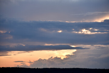 Evening clouds are blue pink and the forest horizon