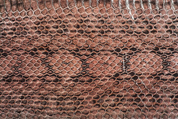 Natural snake skin pattern background. Brown snake pattern imitation.