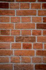 Pared de ladrillos a la vista