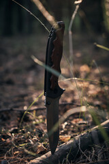 Tactical knife for survival and protection in difficult conditions, stuck tree branch forest.