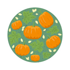 Autumn set with pumpkin, leaves and seeds. Flat, vector