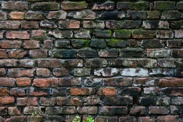 Beautiful old grounge brick wall texture or background
