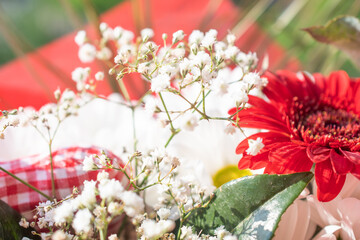 bouquet with red flowers close-up