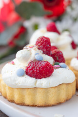 Raspberry biscuit and cream dessert, sweet dessert with raspberries, cake, brownie