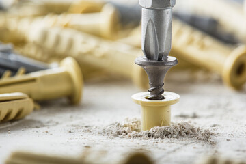 screwdriver screw and dowel in a concrete wall background