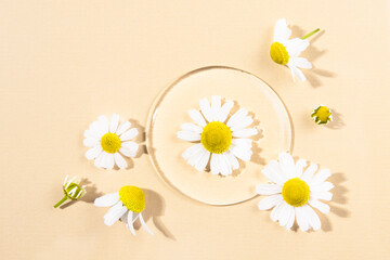 Fototapeta na wymiar Healing chamomile with a cosmetic liquid transparent drop on a beige background. Body and skin care with herbs and alternative medicine.