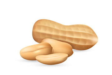 Peanut in shell realistic icon. Groundnut peeled and unpeeled. Monkey nut or goober, bean