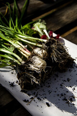 Naklejka premium La Huerta