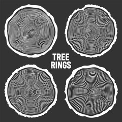 White round tree trunk cuts, sawn pine or oak slices, lumber. Saw cut timber, wood. Wooden texture with tree rings. Hand drawn sketch. Vector illustration