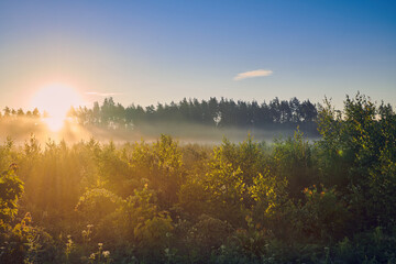 Summer colorful sunrise over the meadow with fog and dew on the grass. Meadow lush grass in morning...