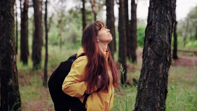 Hiking woman tourist in forest in rain. Free tourist girl walking with backpack through dense forest nature on summer day. Free travel concept. Woman on vacation walking alone in forest, meditation