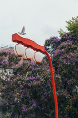 Japanese lamps in Liberdade - São Paulo