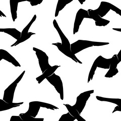 Vector Seamless Pattern with Black Seagull Bird Silhouette on White. Marine, Surf Background with Flying Isolated Sea Gulls for Wallpaper, Wrapping, Packing, Backdrop, Textile