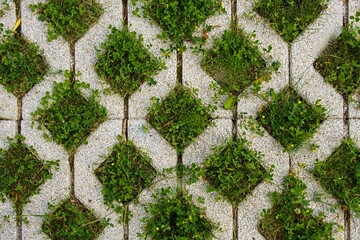 Mesh ecological coating for parking cars made of concrete blocks with the inclusion of green lawn...