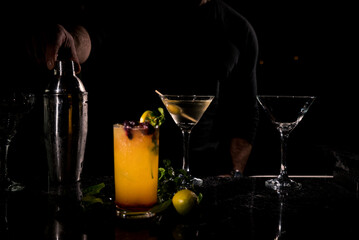 bartender preparing dry martini drink