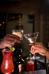 bartender preparing dry martini drink