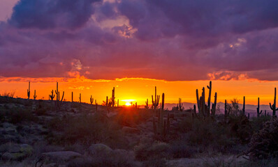 Arizona Desert Sunset Skies In The Phoenix Area.