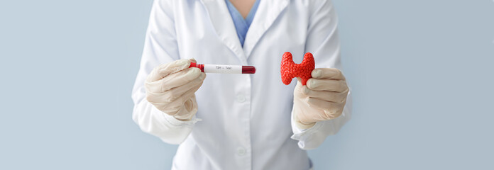 Doctor with model of thyroid gland and blood sample in test tube on light background, closeup