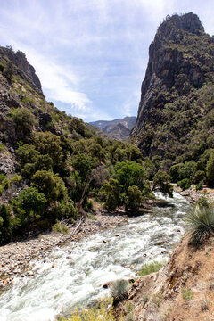 River Scene - Kings Canyon Park, California
