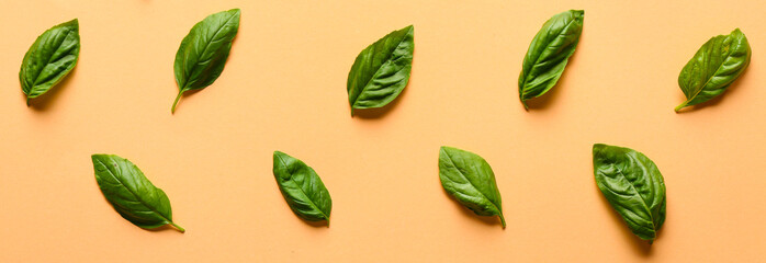 Many basil leaves on beige background, top view
