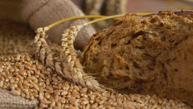 Dried wheat on wooden table. Dark rye-type bread. Rustic background for presentations. Granary, mill or grain elevator concept. Natural plant growing business. Organic food culture