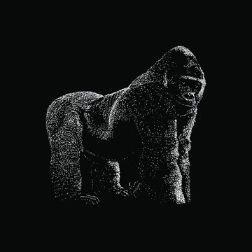 Eastern Gorilla hand drawing vector illustration isolated on black background