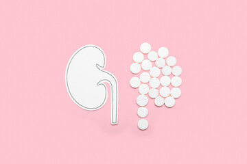 Paper kidney with pills on pink background